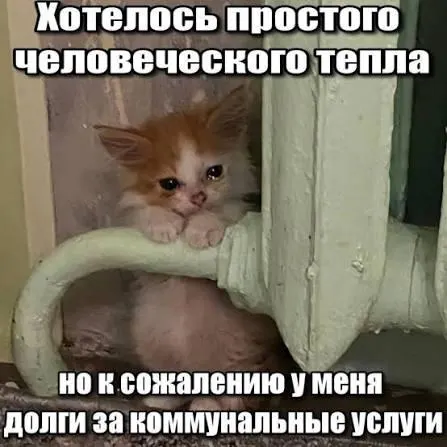 Суд подтвердил, что взыскание задолженности по капремонему старше трёх лет противоречит сроку исковой давности и не может служить основанием для принудительного списания средств.