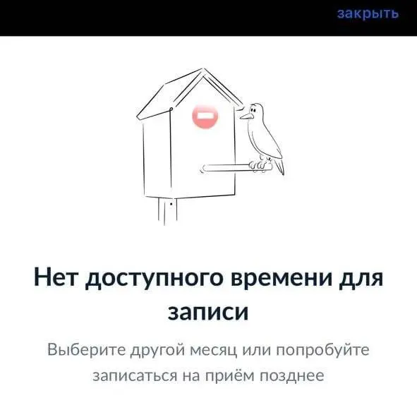Жители столицы жалуются, что при попытке записаться на приём для оформления заграничных паспортов портал «Госуслуги» регулярно показывает отсутствие доступных слотов; в других регионах подобных сбоев не фиксируется.
