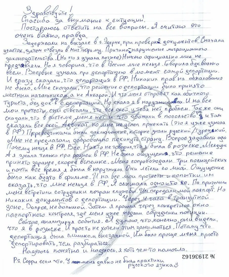 Литвинова заявляет, что турецкие власти ускоренно депортировали её в РФ без возможности обжалования: её задержали в Эдирне, поместили в миграционную тюрьму и вскоре выслали. Ранее ей выписали штраф за «дискредитацию армии» и возбудили дело о вандализме.