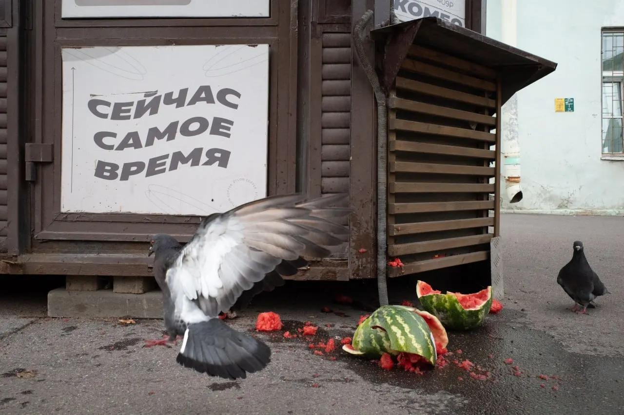 Штраф за антивоенное высказывание и панихиды в День памяти: хроника событий в Петербурге, Ленобласти и в мире