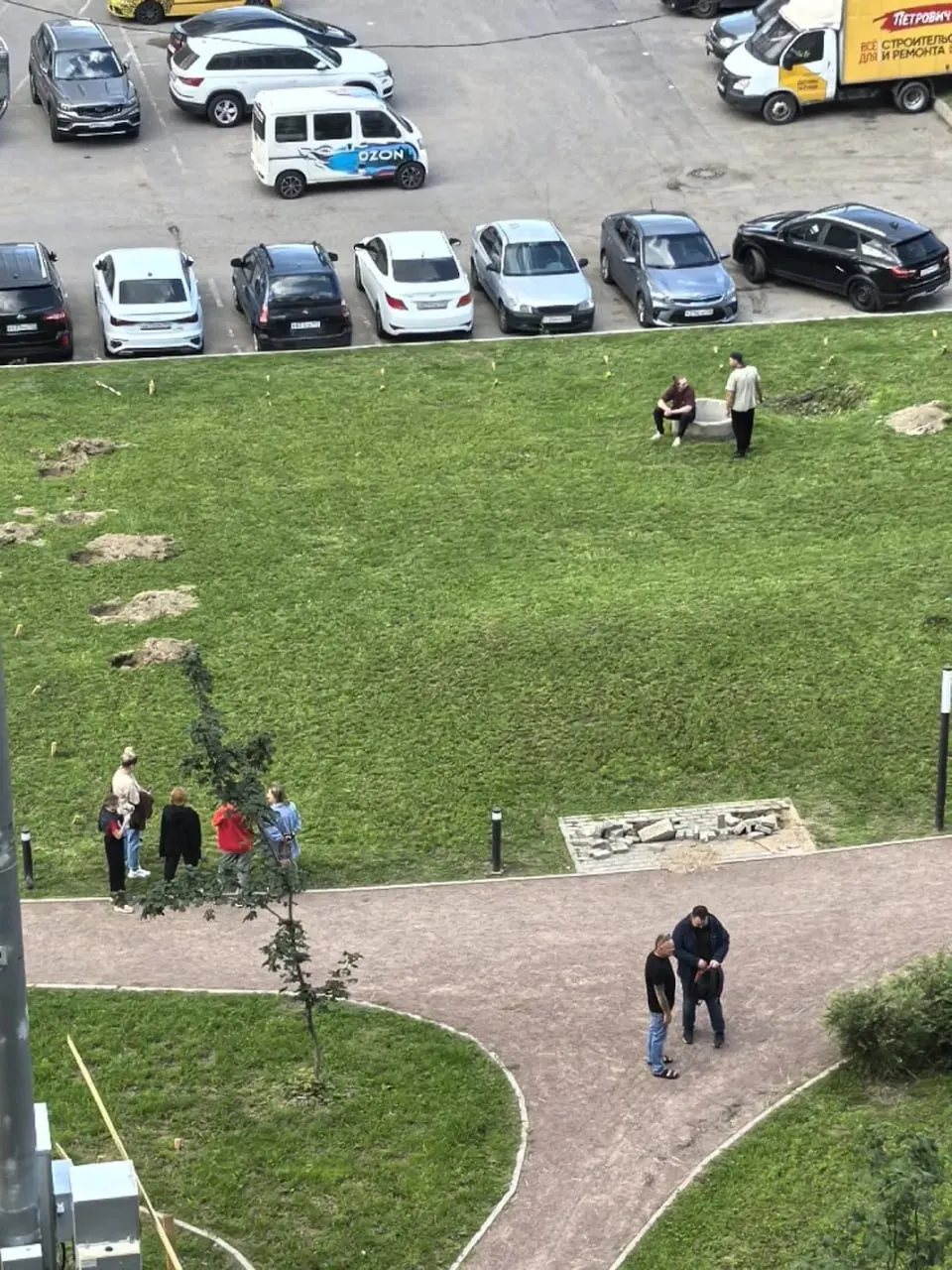 Истории локальных побед: защитa зелёных зон, запуск общественного транспорта и судовые решения в разных муниципалитетах.