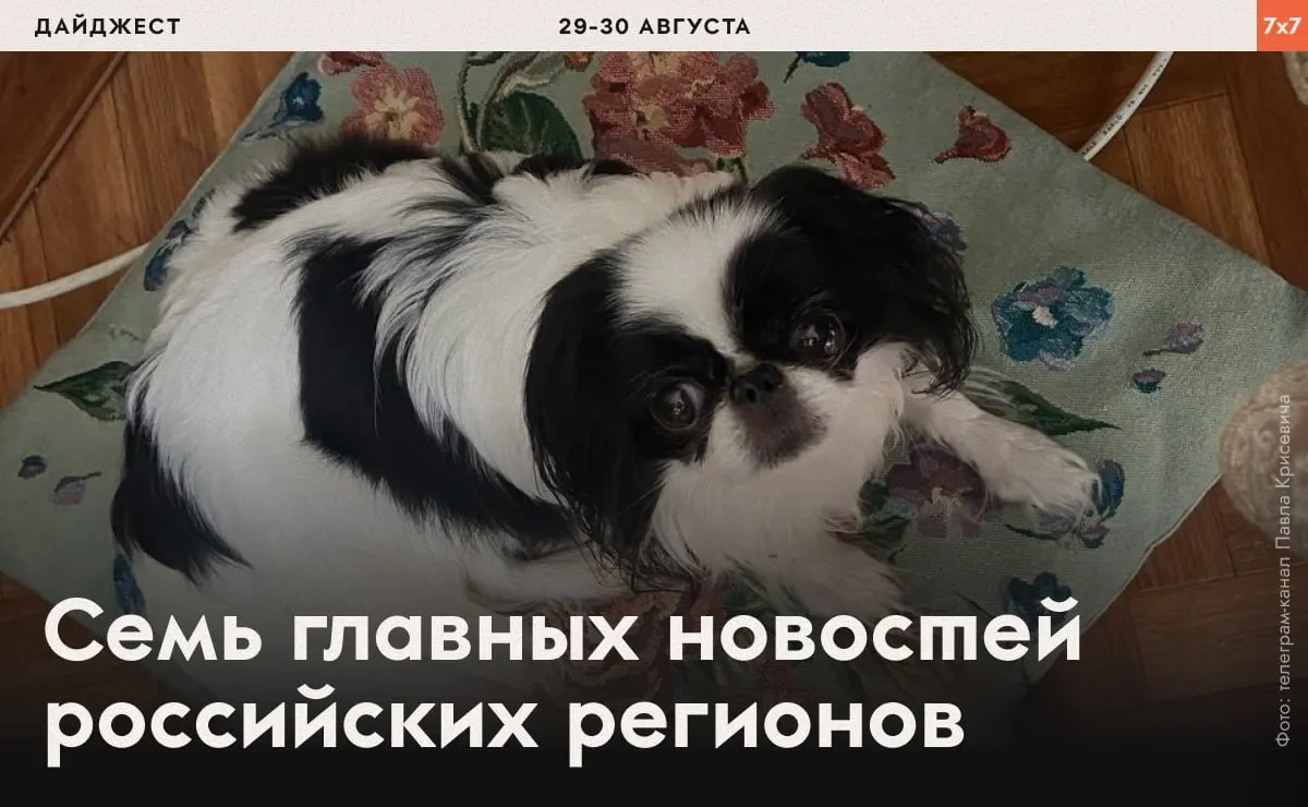 Сводка событий по регионам: давление на юриста, политические конфликты и новые запреты на развитие инфраструктуры и естественных ресурсов.