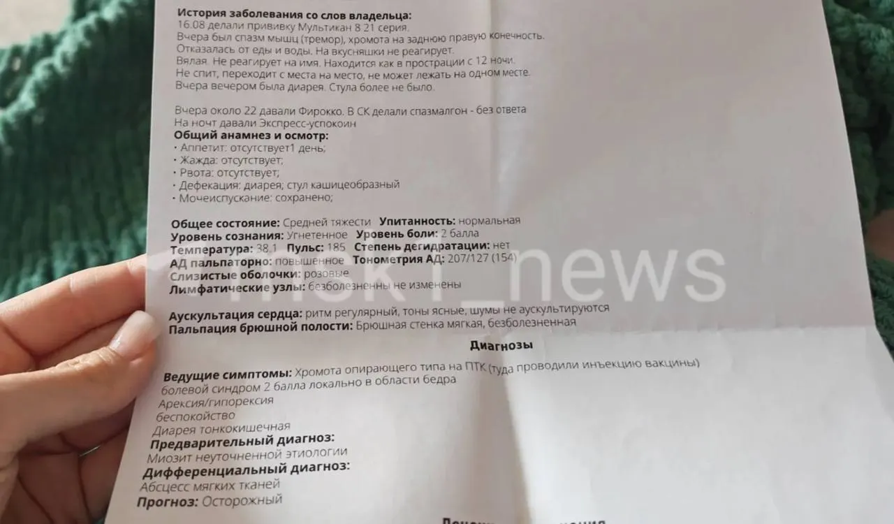 В столице зафиксированы тяжёлые осложнения у собак после прививки вакциной Мультикан-8; проводится проверка партии и мониторинг ситуации.
