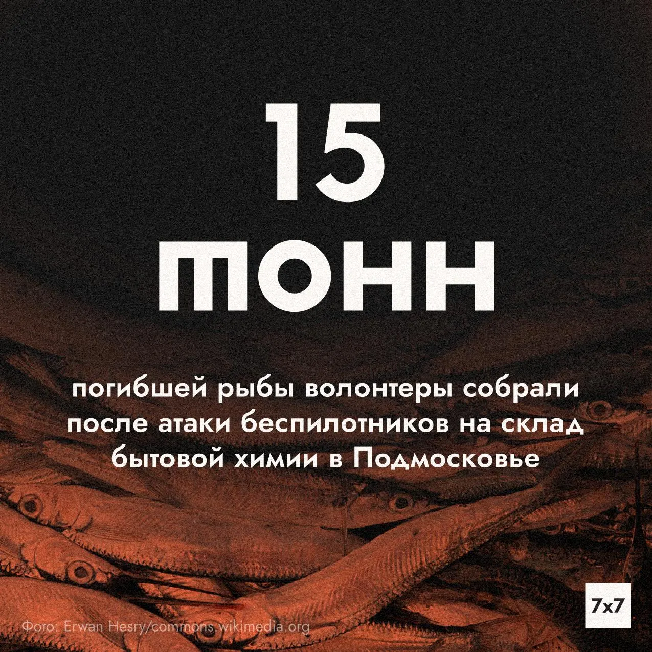 Власти организовали подвоз питьевой воды и запрет использования колодцев после выявленных химических загрязнений; продолжается ликвидация последствий и мониторинг реки.