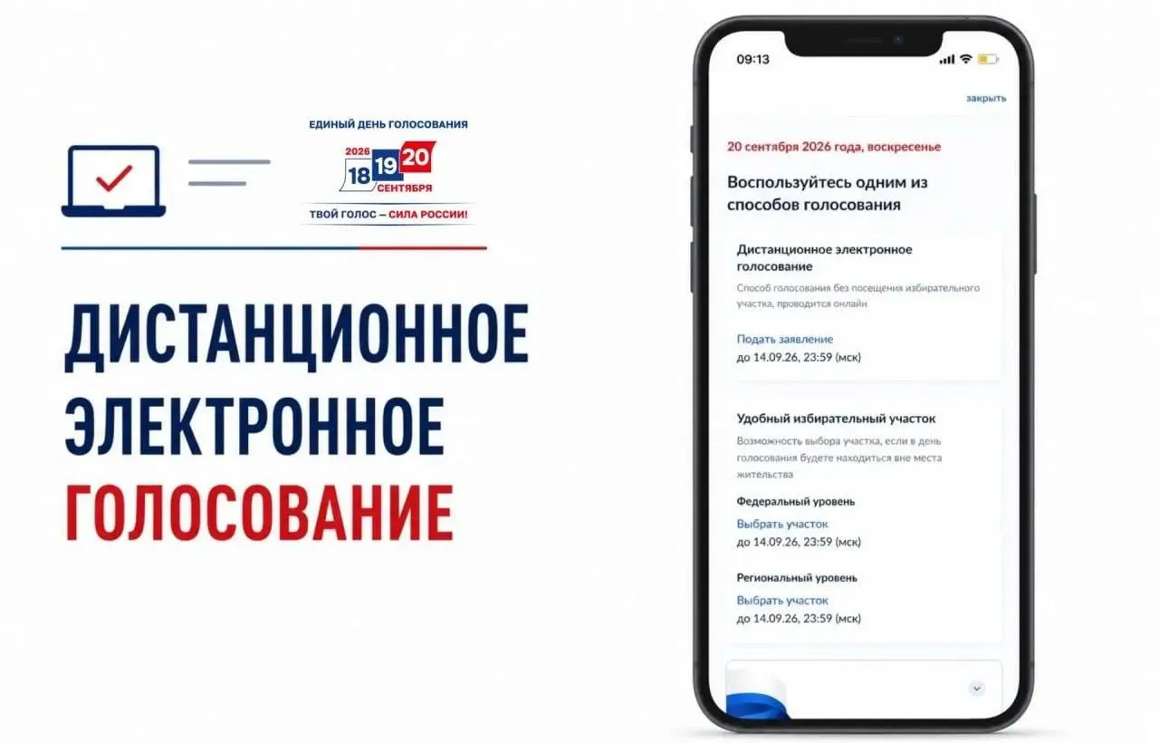 Стартовала подача заявлений на дистанционное голосование на портале госуслуг.