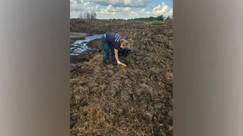 Проверка выявила несанкционированное размещение отходов животноводства, загрязнение почвы и нарушения при хранении отходов опасных классов на предприятии «Заречное» под Нелжей. Жители требуют независимых замеров воздуха и реакции федеральных органов.