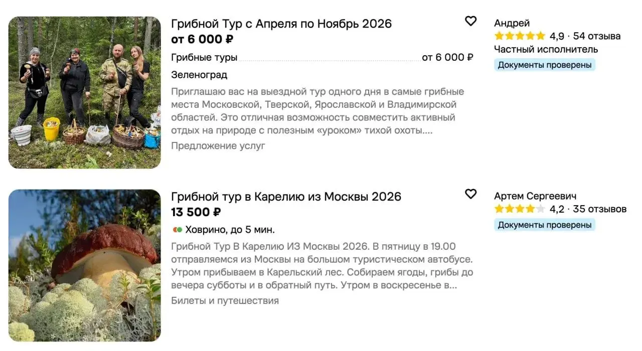 Спрос на грибные туры в столичном регионе растёт: люди чаще отправляются на походы за грибами, а стоимость тура приближается к отметке 6100 ₽.