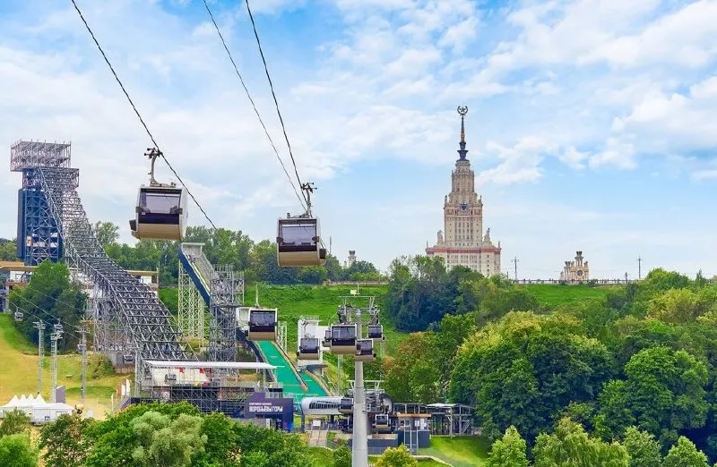 За последние 15 лет Москва существенно сократила зелёные зоны: вырубки и застройка меняют облик города и ухудшают экологическую ситуацию.