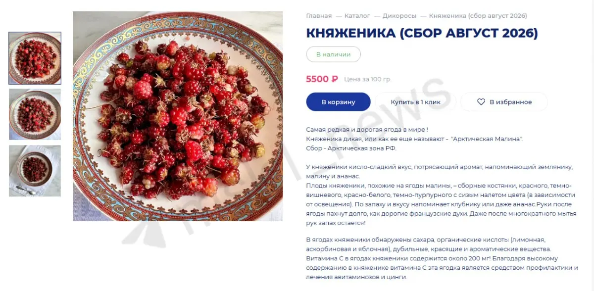 В Москве начинается продажа редкой ягоды княженика по цене, сопоставимой с дорогими деликатесами; за 100 граммов платят около 5500 рублей.