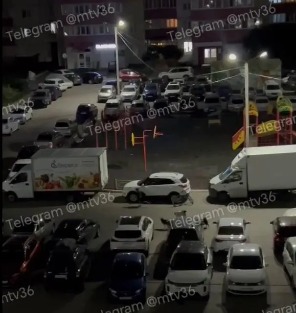 По словам местных жителей, ранее приезжали отловщики, однако животных не задержали.