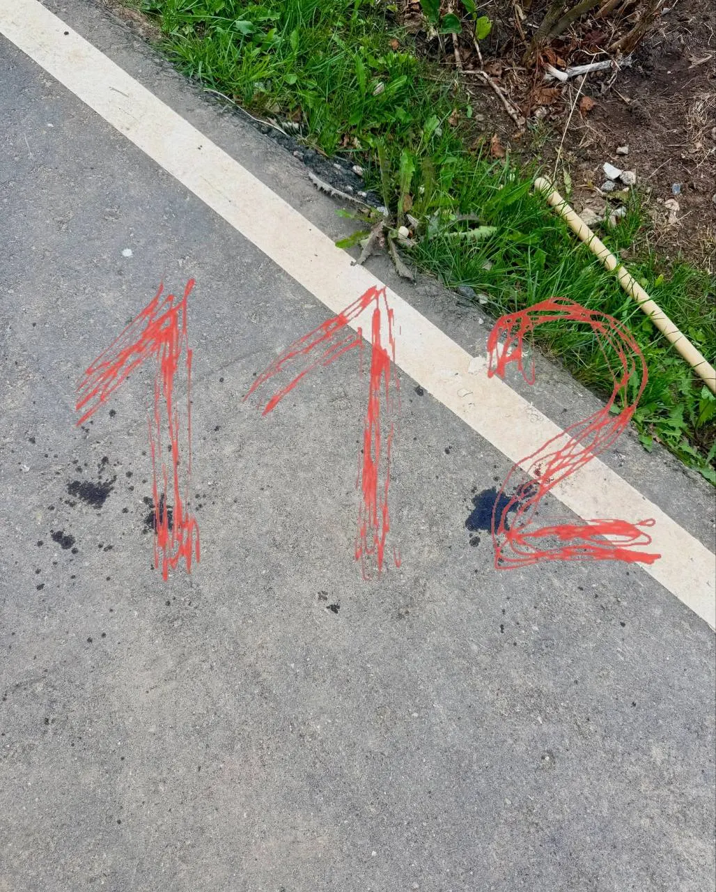 По словам хозяйки погибшего пса, инцидент произошёл 17 августа на глазах у её 5-летней дочери: нападение совершила собака, принадлежащая другой женщине, без намордника. Фаби погиб, Черри получил ранения, его увезли в ветклинику, но спасти не удалось. Также пострадала хозяйка — ей прокусила палец.