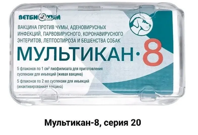 После прививки вакциной Мультикан-8 зафиксированы случаи гибели собак в нескольких регионах; владельцы требуют независимого расследования и анализа причин.