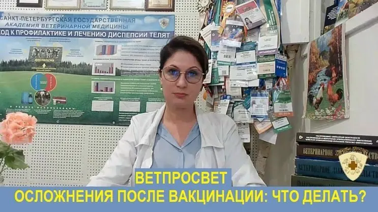 Врач-эпизоотолог Светлана Щепёткина столкнулась с давлением на должность после публикации официальных инструкций для владельцев животных, столкнувшихся с осложнениями после вакцины Мультикан-8; она критикует практику массового уничтожения скота и намерена действовать.