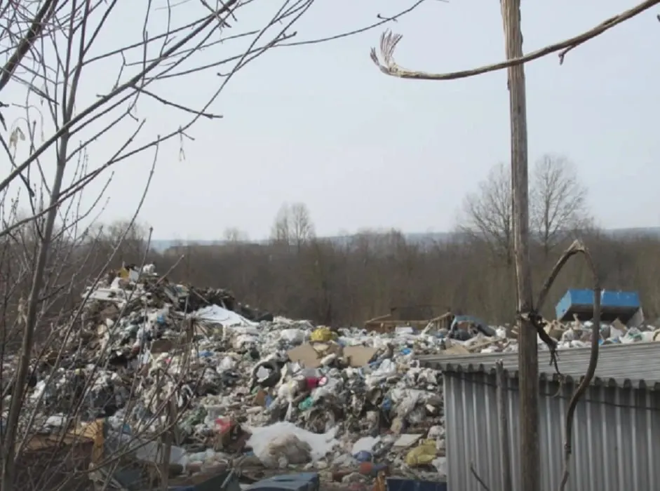 За охранную зону национального парка зафиксирована крупная свалка; предприятие заплатит штраф после вмешательства Росприроднадзора и судебного разбирательства.