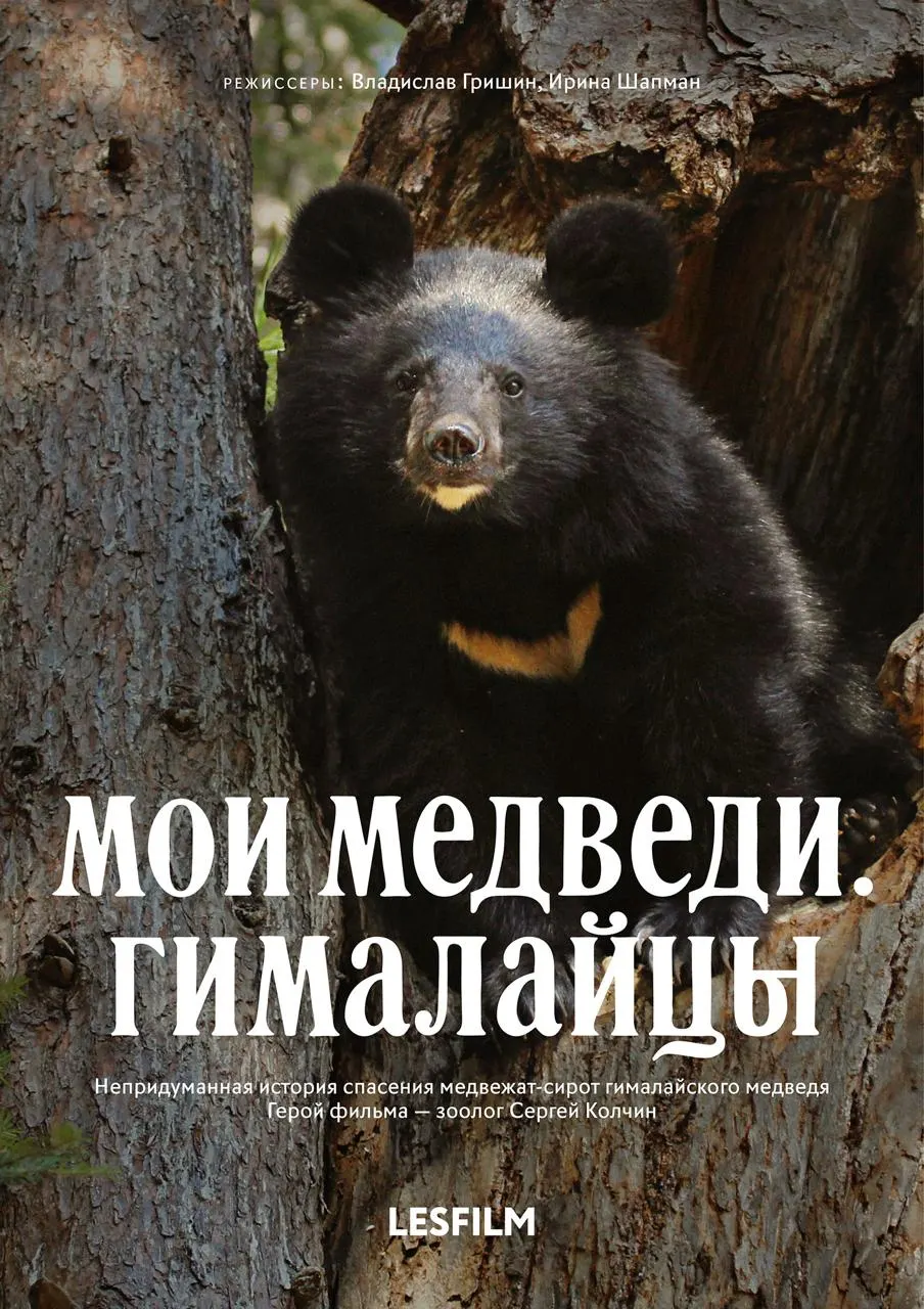 Международный фестиваль экологического документального кино пройдет в октябре в столицах России. В программе — фильмы о природе и взаимосвязях мировой экологии.