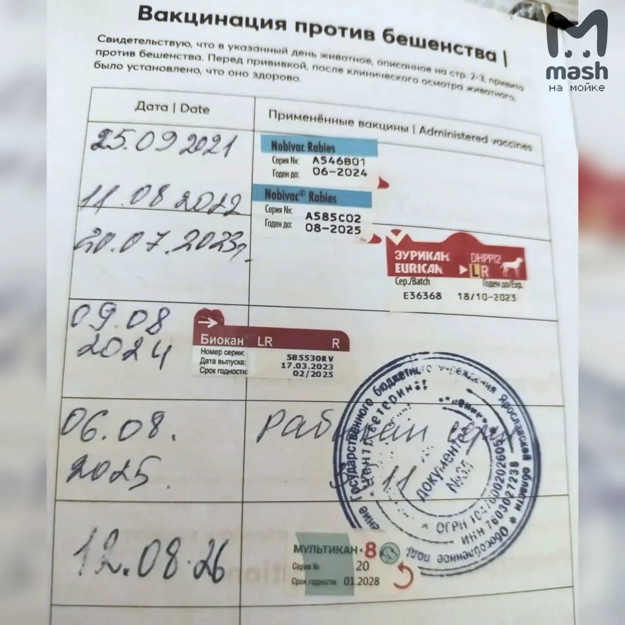 Сообщается о гибели собак после прививки вакциной Мультикан-8 в Ярославской области, затем — в Санкт-Петербурге; проводятся проверки и приостанавливается оборот ряда серий вакцины.