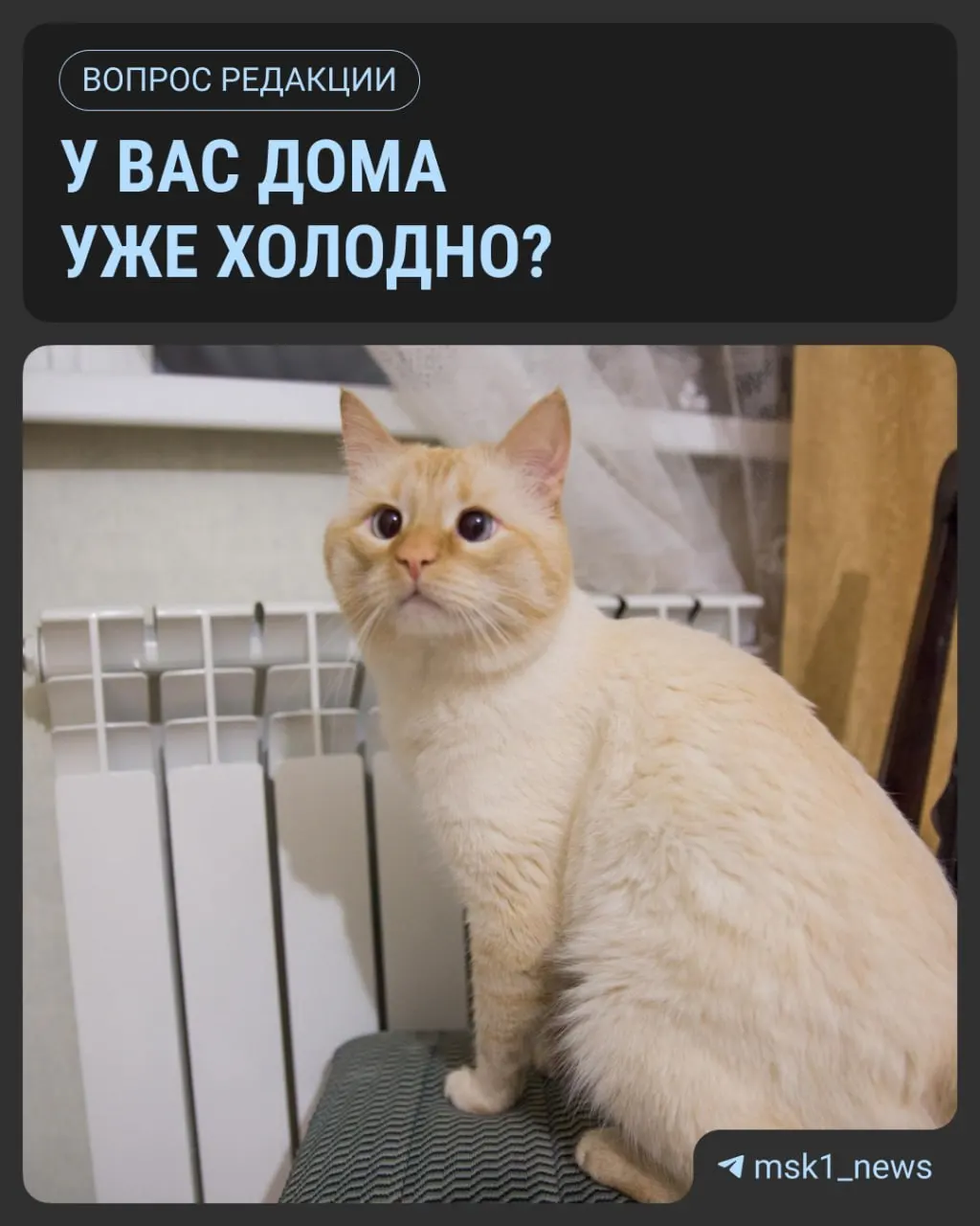 Подача тепла начнется после устойчивого понижения температуры: обычно это происходит, когда среднесуточная температура держится ниже +8 °C в течение 5 дней. В прошлом сезоне начало подачи тепла пришлось на 24 сентября.