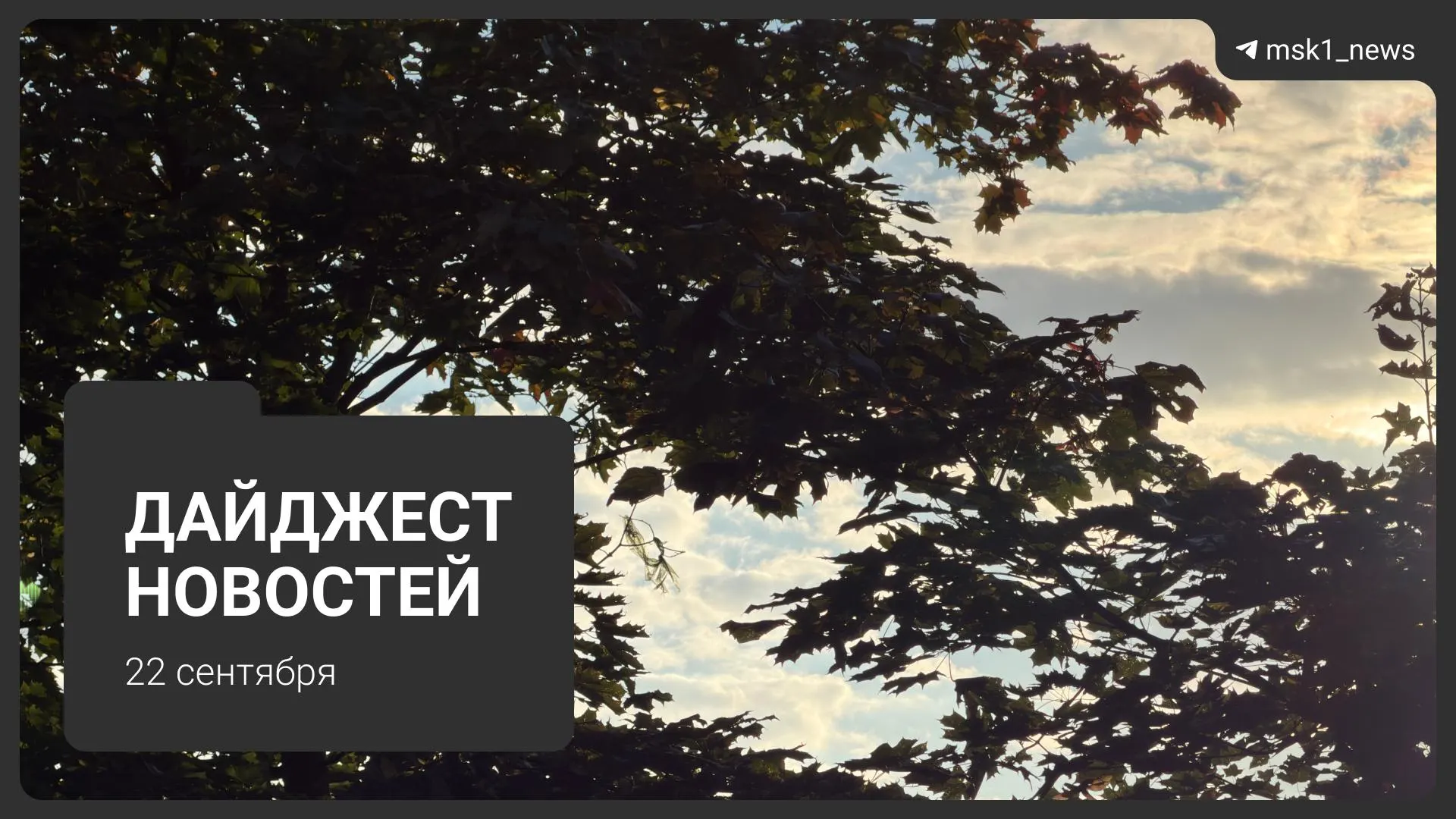 Главные события дня в столице и регионе: обсуждают новый торговый центр, стройку бизнес-центров возле Петровско-Разумовской, вопросы благоустройства, ликвидацию свалки в Щёлково, осенний призыв и запуск катка в парке Северного речного вокзала, а также акцию по бензину.