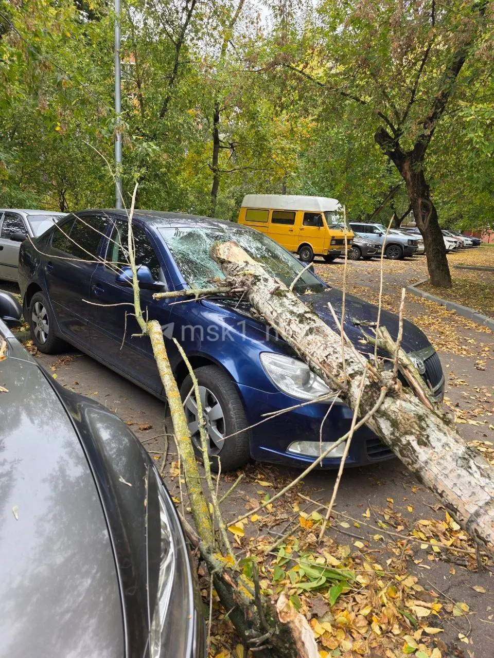 Непогода продолжится весь день: порывы до 17 м/с; дойдет ли буря до Ярославля — вопрос сегодня.