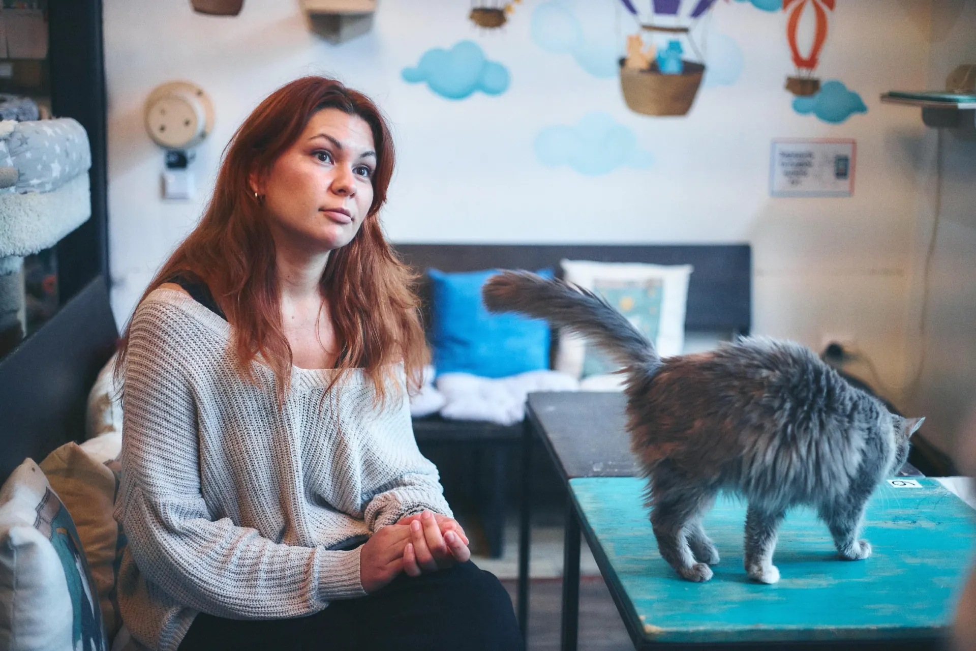 Разбираемся, чем занимается управляющая котокафе, как попасть в эту сферу и можно ли привести котика в котокафе.
