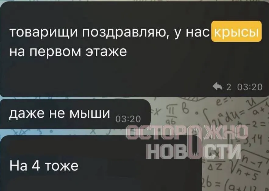 Студентов ВГИКа могут отчислить после жалоб на крыc в общежитии в Москве; ситуация отражает антисанитарию и давление со стороны руководства.