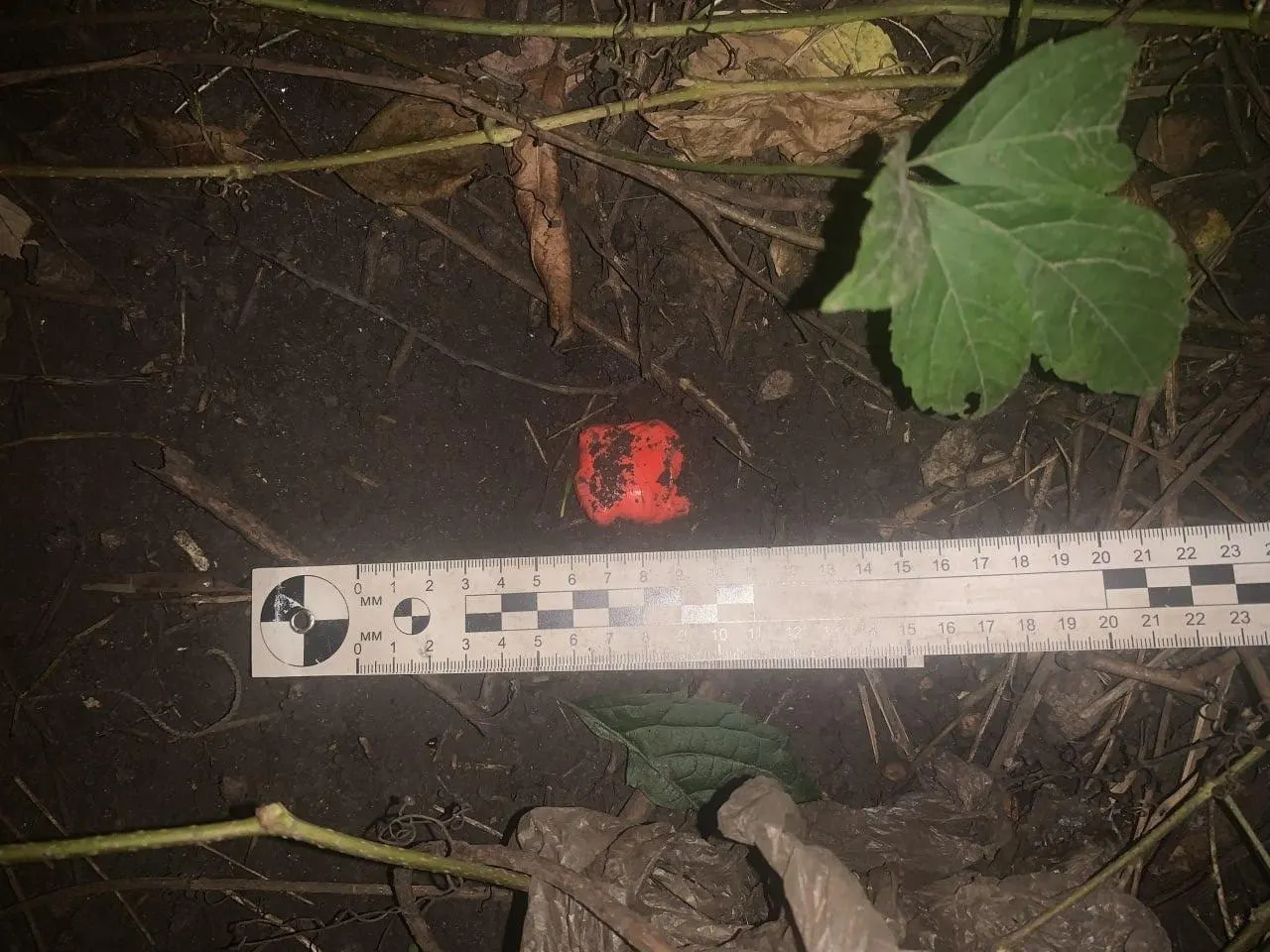 Женщина из Воронежской области задержана в Борисоглебске; ей грозит крупный срок.