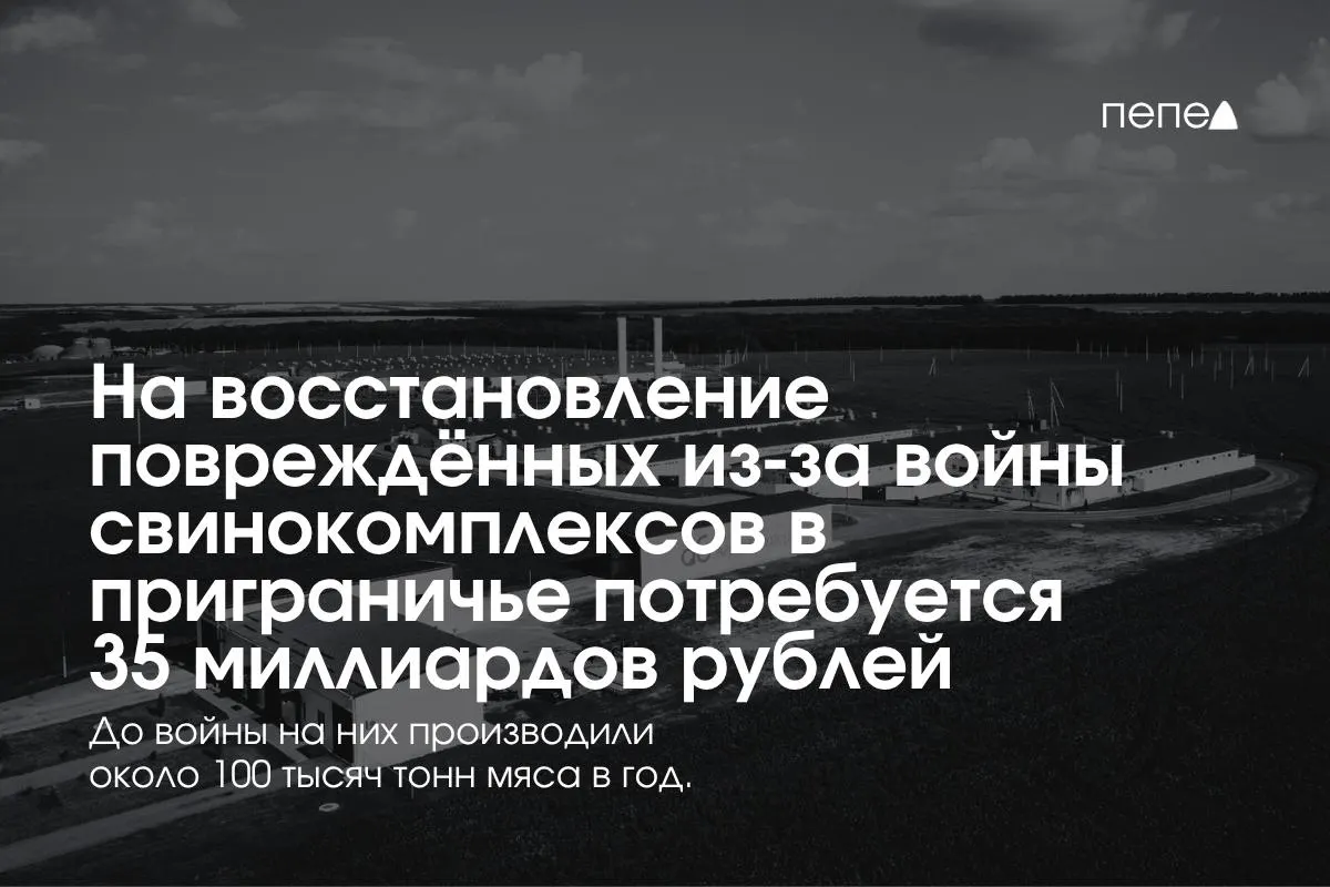 Оценка затрат на восстановление инфраструктуры после обстрелов и атак БПЛА: региональная агропромышленность несет существенные потери, производство свинины сокращается.