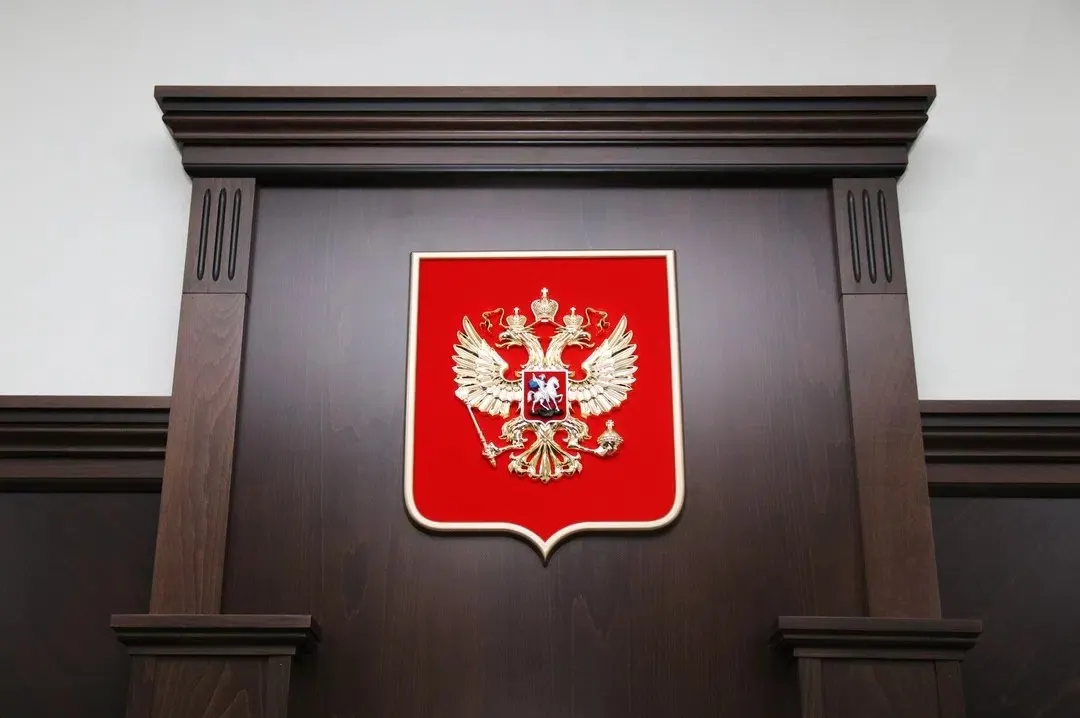Рязанская областная дума определила кандидатуру судьи для Скопинского округа.