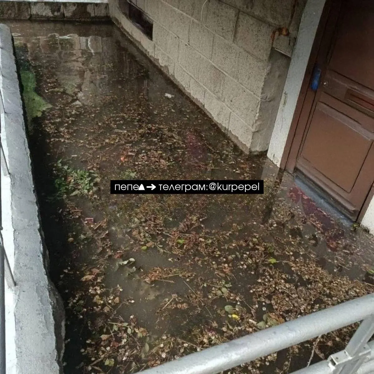 В Курске затоплен подвал на улице Ленинской после прорыва водопровода. Местные жители пытались укрыться на момент инцидента.