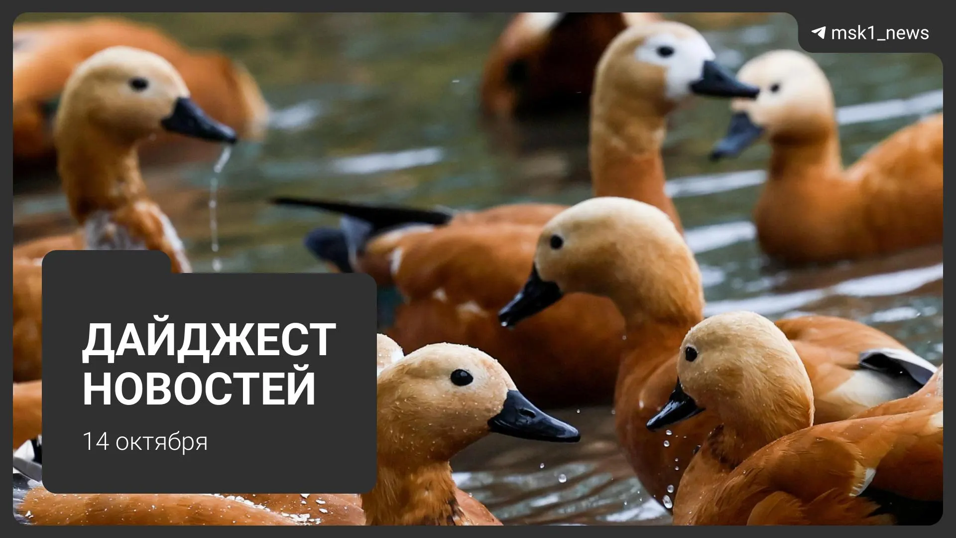 Ключевые события дня: атака беспилотников по центру обработки данных в Саратовской области, восстановление многоэтажки в Химках и решения суда по громким делам, а также анонс фестиваля Muz Bit Unlock.