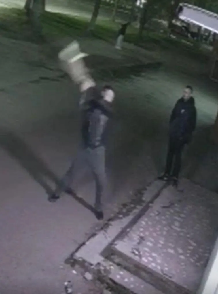 В Ярославле зафиксировано жестокое обращение с кошкой: удар и выброс животного у подъезда общежития, уголовное дело возбуждено; дальнейшее развитие дела неизвестно.