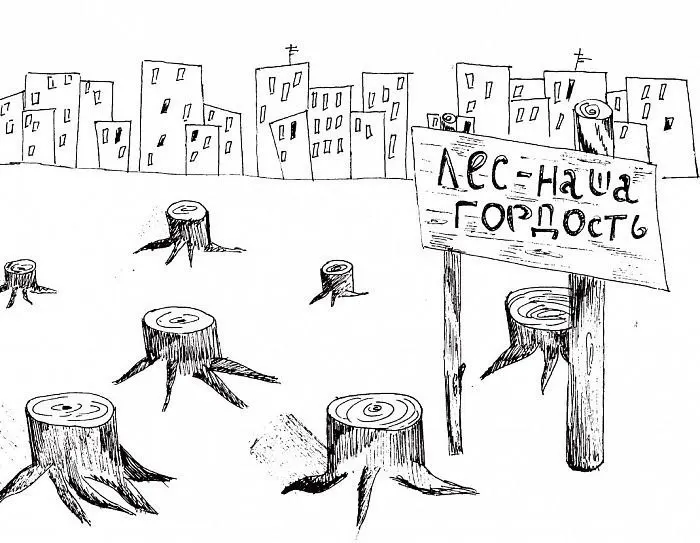 На слушаниях по генплану рассматривают перевод лесных территорий за городом в рекреационную зону; участие жителей было скромным, а активисты требуют вернуть статус лесам.
