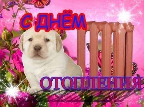 Сначала тепло подают в школы, детские сады и больницы, затем — в жилые дома; по данным МОЭК, на подключение квартир обычно требуется около пяти дней.