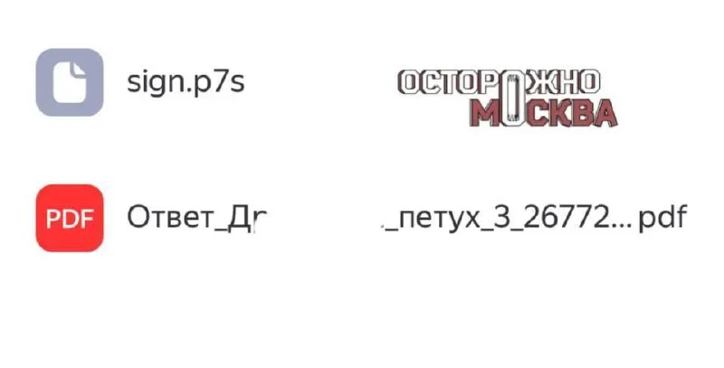 Москвич подал жалобу через электронную приемную МВД на задержку восстановления паспорта. В ответе — PDF-документ с фамилией и словом «петух».