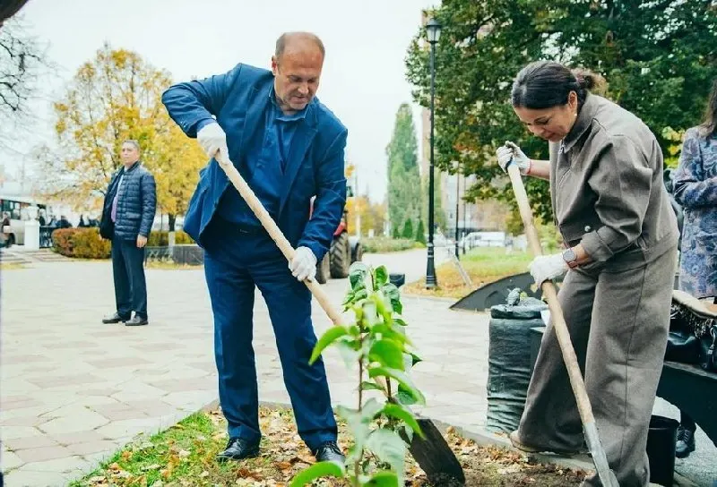 Депутаты Рязанской области якобы занялись озеленением, в сквере «Городские ряды» появились новые саженцы.
