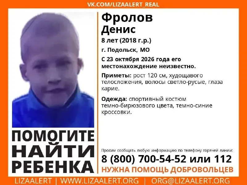 8-летний Денис Фролов пропал в Подольске 23 октября 2026 года; поиски ведут волонтёры и сотрудники отряда ЛизаАлерт.