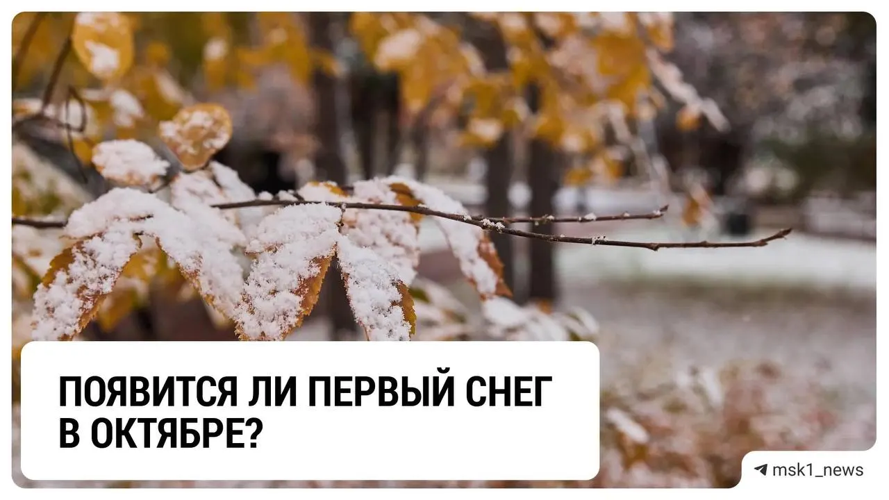 Первый снег может выпасть в&nbsp;Москве уже&nbsp;в&nbsp;ноябре