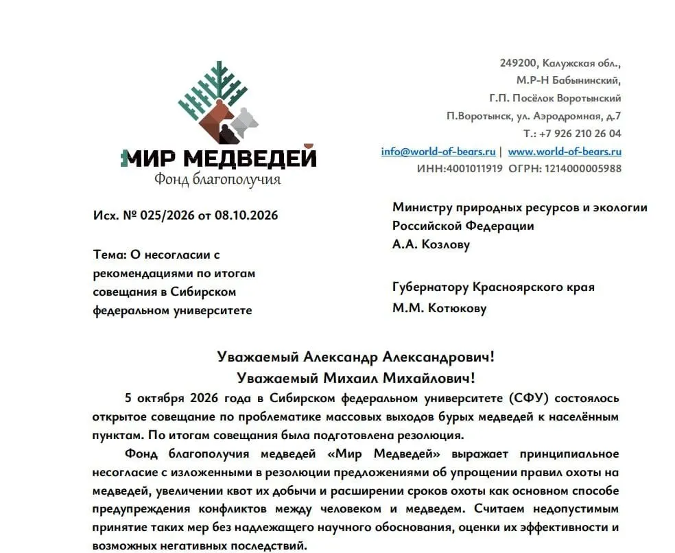 Зоозащитники требуют обсудить альтернативы упрощению охоты на бурых медведей вокруг Красноярского края и настаивают на мерах по снижению конфликтов между людьми и зверями.
