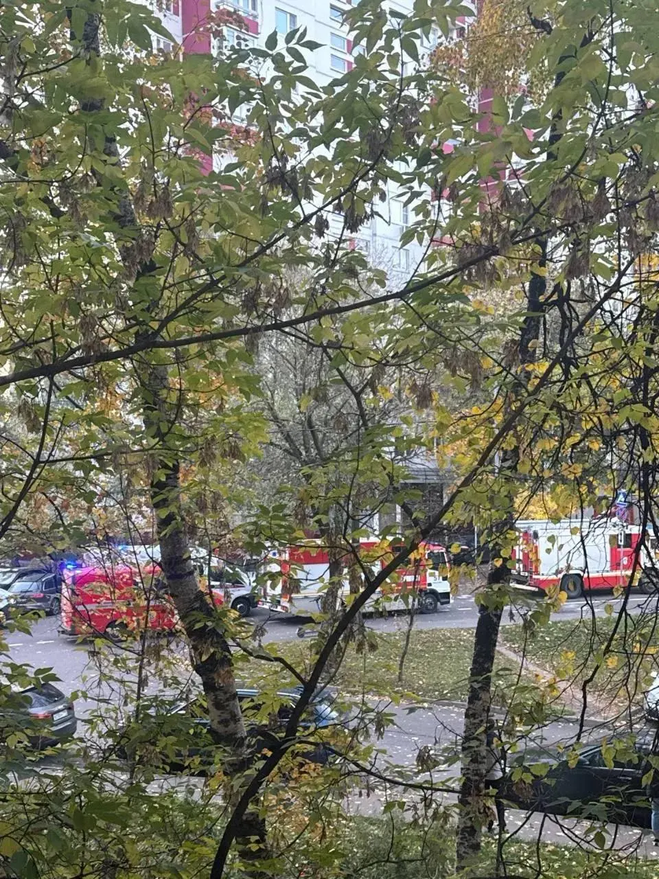 Пожар в квартире на Ленинском проспекте, Москва: 20 человек эвакуированы; владелец находится в скорой помощи; возгорание ликвидировано.