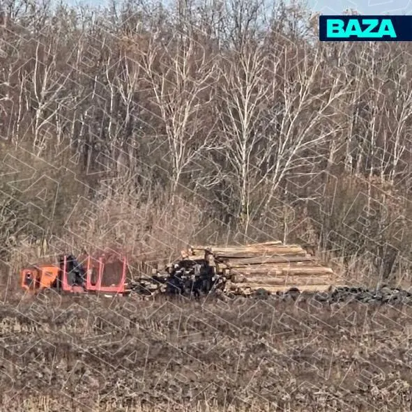 Жители Подмосковья добились отмены планов по сжигу почти 800 голов крупного рогатого скота возле деревни Горностаево после возражений местных жителей; власти отказались от идеи.